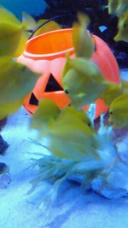 �e�����ڗ�������_���Ȃ̂ɂ�