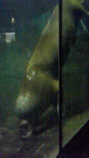 �����Ǝv������c