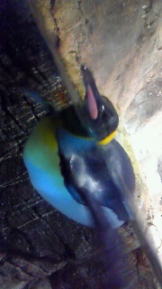 ������������҂�x�e��