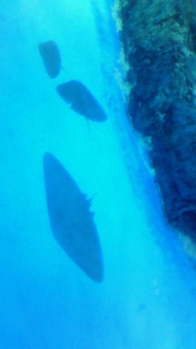 �m�M�����Ă܂���