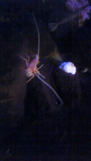 �K���������ז����Ă܂�