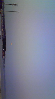 ���炩�ȉ��F��������ɕ����яオ��