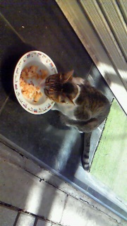 �I�̂��ꂽ�ꏊ���_�����Ă��Ƃ�