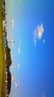 �����Ă����������ł�