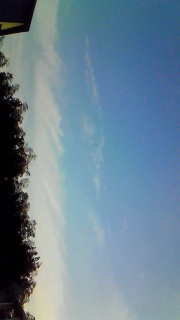 ���̂ӂ��ɂ͂ǂꂾ���̋���������̂��낤