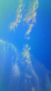 ��̂ǂ������d�g�݂Ȃ̂ł��傤��