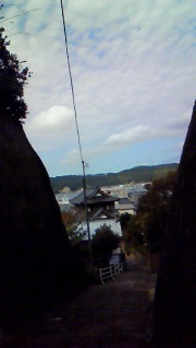 �z�����܂��悤�ɐi�񂾂��̐��