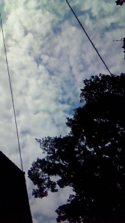 �i�F�Ƃ͂܂��Ⴄ����