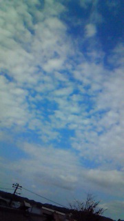 ����ς�D���A�ǂ����Ă��D��