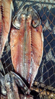 �ł��A���肻�������