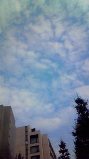 ��͂��ł������ɂ����