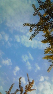 �H�͏������[�܂��Ă���