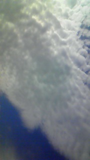 ���ł������ɂ��邩�炱��