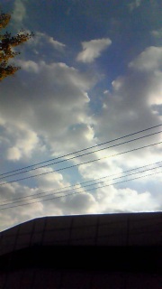 ������Ƃ��Ă��K���Ȃ̂ł�