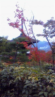 ���̑g�ݍ��킹�͓��{�Ȃ�ł�