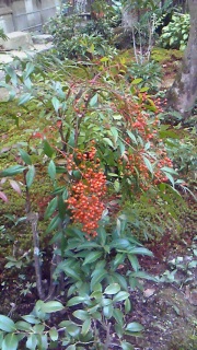 �����ɂ͐Ԃ��ď����Ȏ���