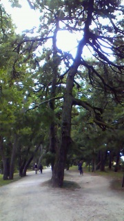 ��́A�ǂ��Ɍ������Ă���񂾂낤