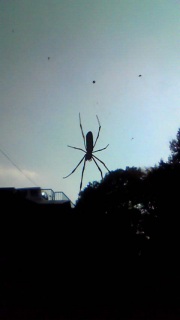 ���Ƃ�����đ҂��Ă܂�