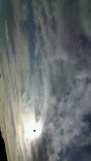 ����͋��R�̎Y���Ȃ̂��Ǝv��