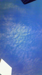 �O��������ɏ��ڎw����