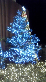 �e�������ċP���Ă������