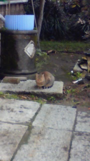 ����ȂƂ���������Ǝv����