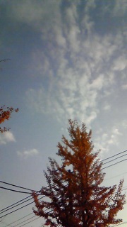 �t���F��ς���悤�ɋ�����̐F��ς���