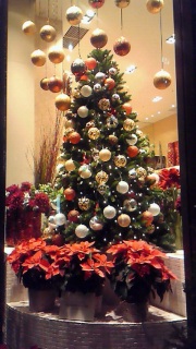 ���₩�ȍ���ɕ�܂��