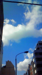 �v���U��ɌN�ɉ����