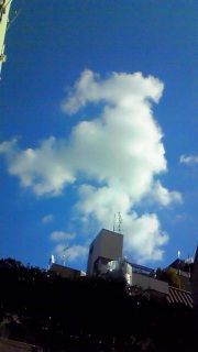 ���ɂ͎B�肽���󂪂����ɂ����