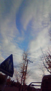 �ǂ��������������Ȃ�������