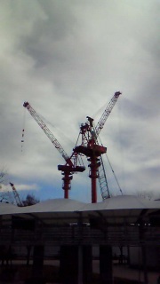 �{���͂ǂ����Ȃ́H