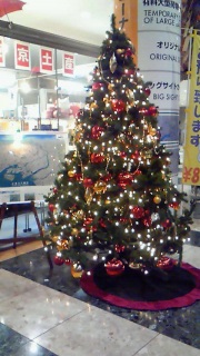 ����͌���ꂽ���̂������