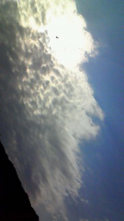 ���t�ɋl�܂����܂܌��グ����