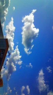 �ł��A���̋���D��