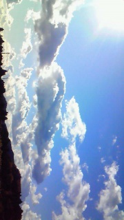 �L����_�͋G�߂�Y�ꂳ���Ă��܂�