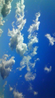 ������Ɖ���������