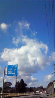 �Ⴄ����������