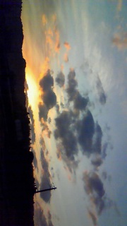 ��͒���������