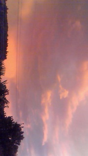 ����͉��̎n�܂肾�Ƃ����̂��낤