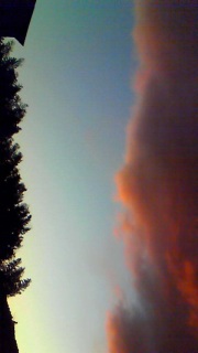 ��͂��̎p�̂��ׂĂ�ς��悤�Ƃ��Ă���