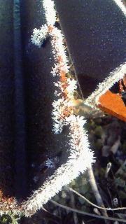 �ڂŒm�邻�̊���