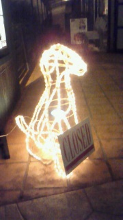 �ǂ�������������D��