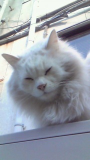 ������A���������܂����I