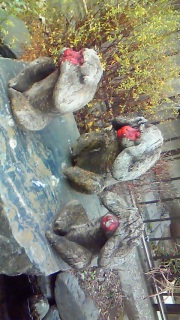 ���Ԃ񂻂�ȋC������