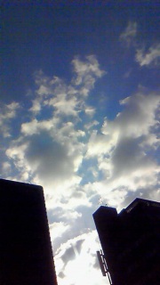 ����ȗ\��������