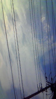 ���R���܂��f�G