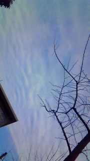 �����猳�C��������