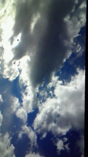 �D���͌��߂����Ȃ�