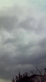 ���ꂪ�����ȂƂ���Ȃ�ł�